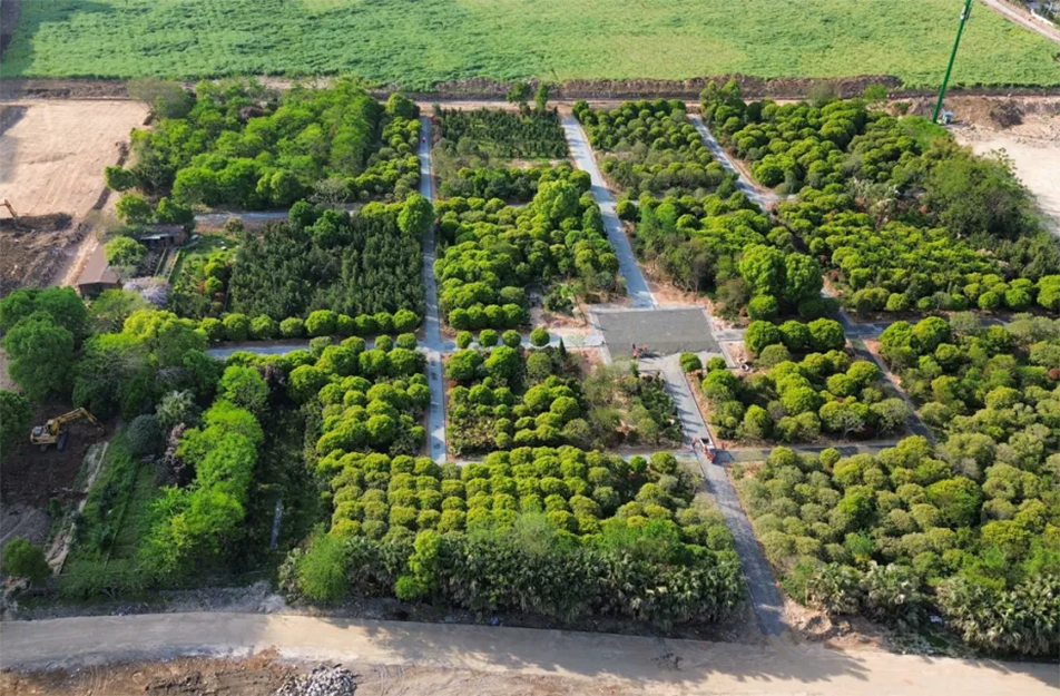 南昌九洲公園稻香園及植物園項目沖刺：農(nóng)旅融合打造生態(tài)文旅新地標(biāo)