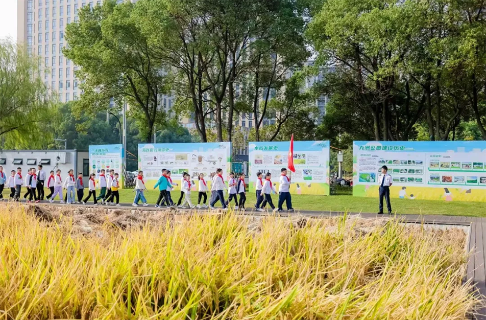 九洲公園舉辦“南昌城里有點(diǎn)田”秋收體驗(yàn)活動 青少年體驗(yàn)農(nóng)耕文化